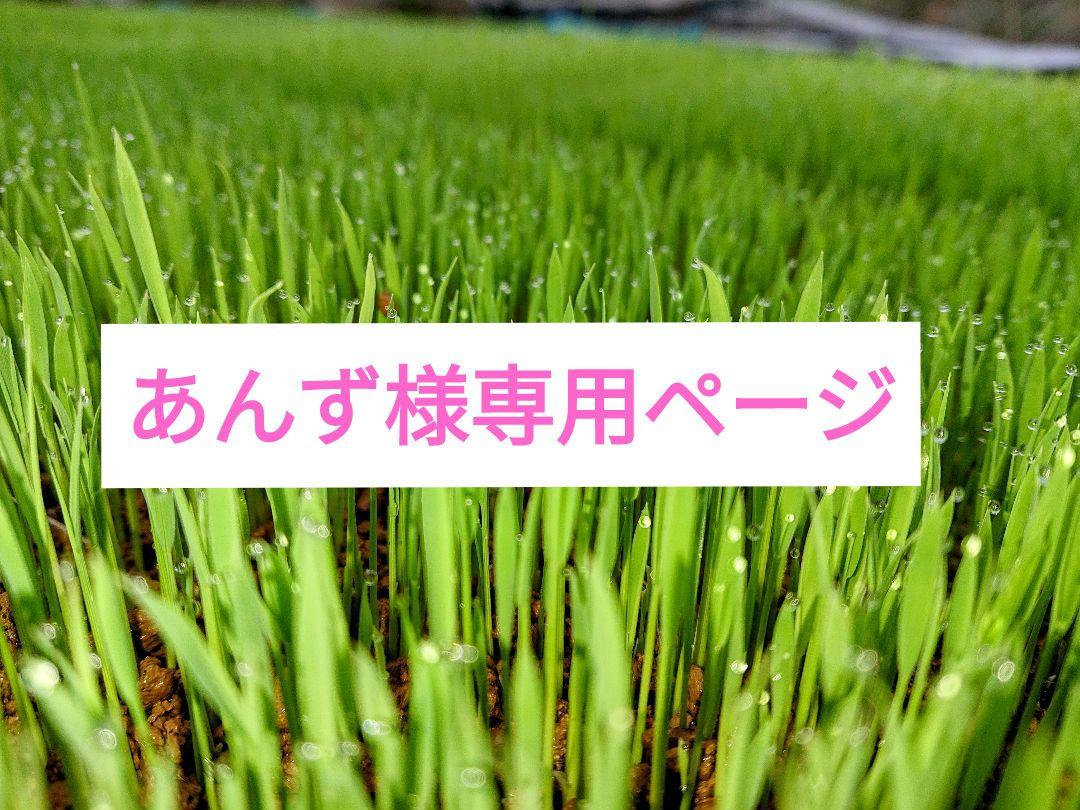 白米(玄米20kg分：小分け)