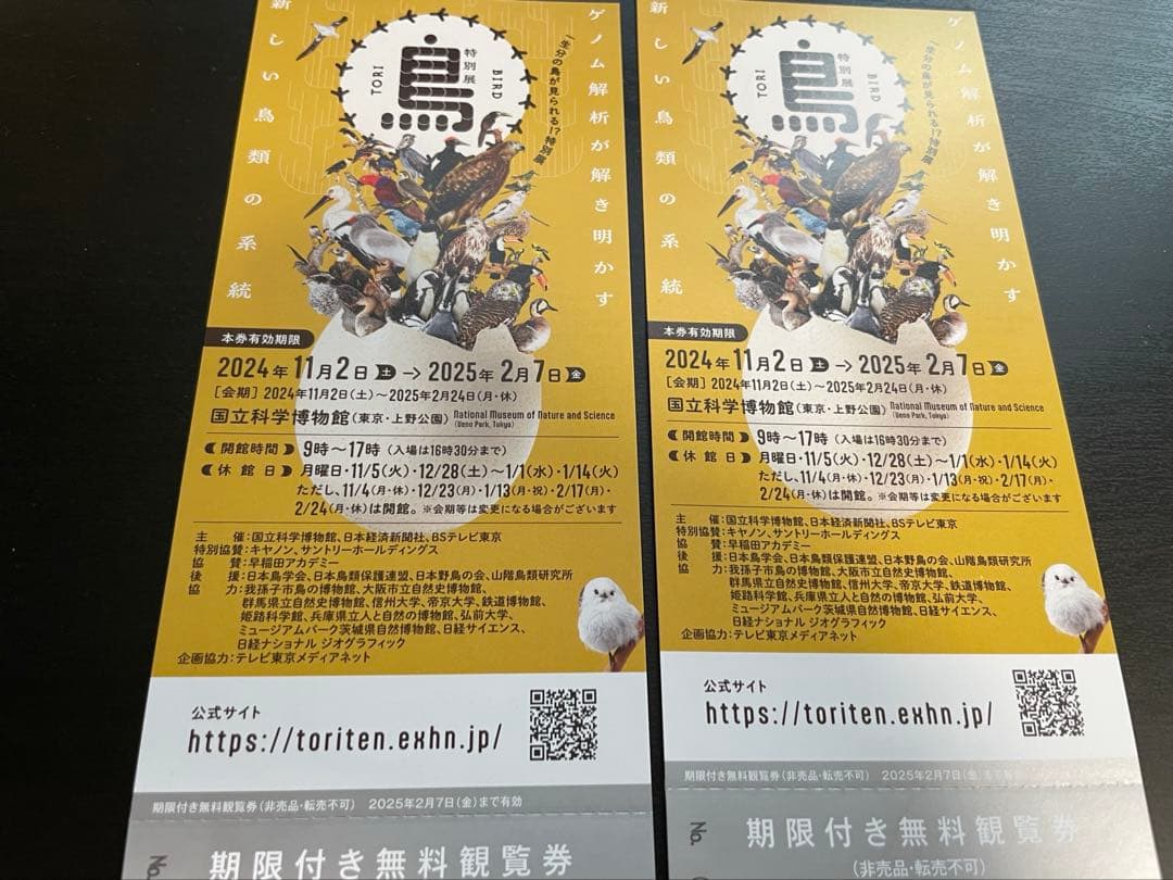 特別展 鳥展 国立科学博物館 無料観覧券　2枚