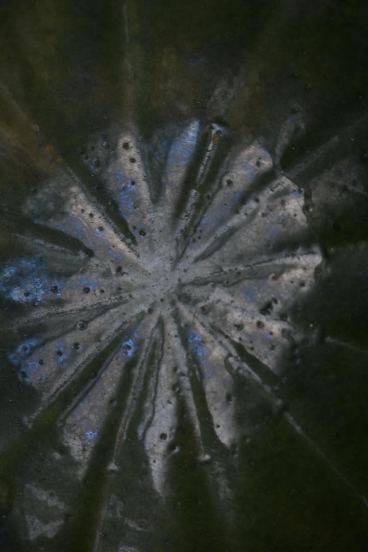 緑釉　眺めの良い輪花鉢　花びら　フランスアンティーク　西洋民藝　19世紀 緑釉 眺めの良い輪花鉢 花びら フランスアンティーク 西洋民藝