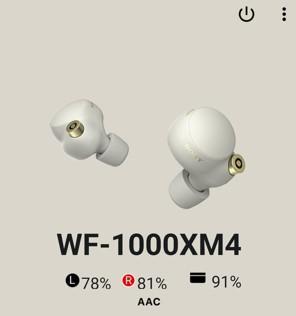 SONY WF-1000XM4 ソニー ノイズキャンセリング イヤフォン