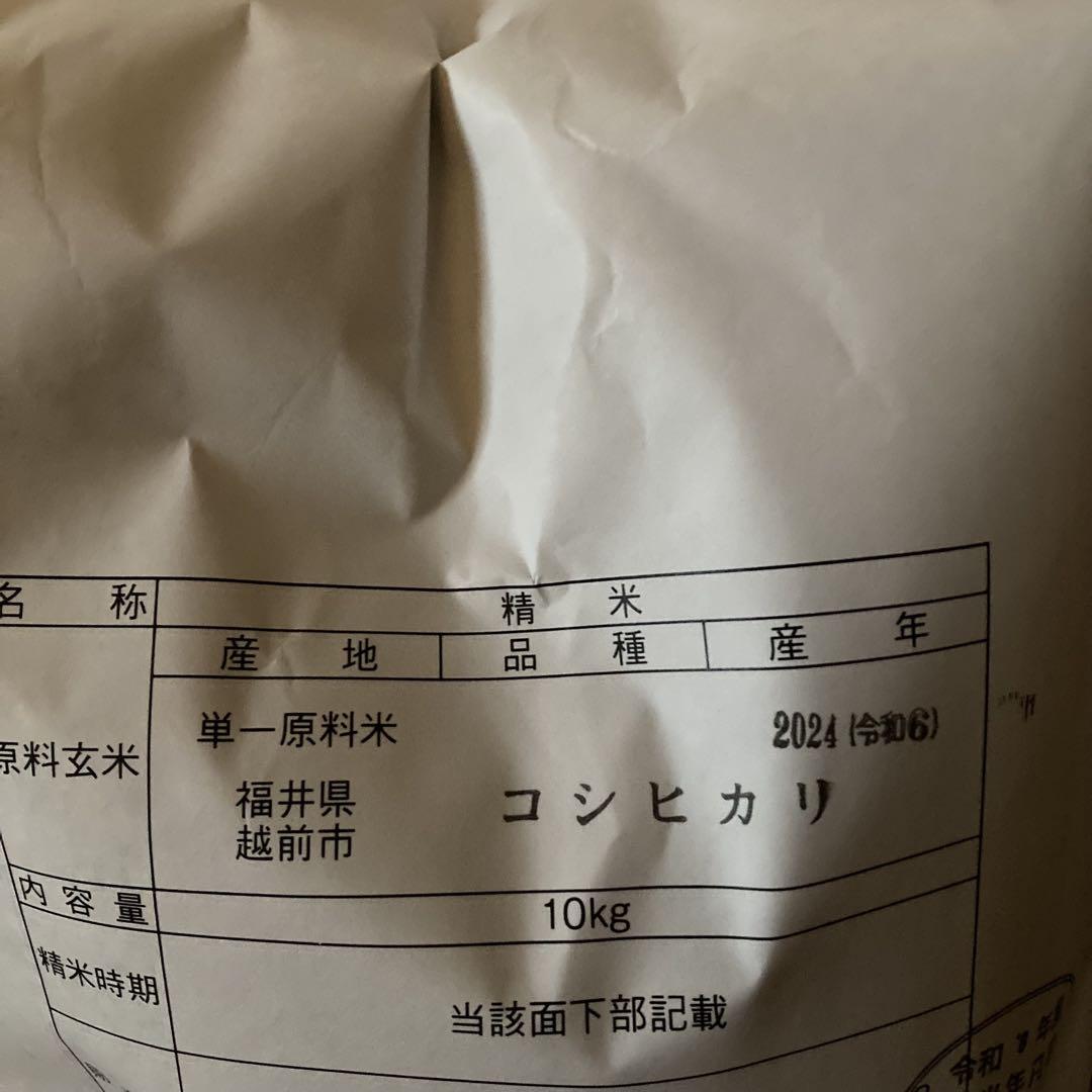 令和6年 福井県産 農薬不使用 コシヒカリ 米 20kg