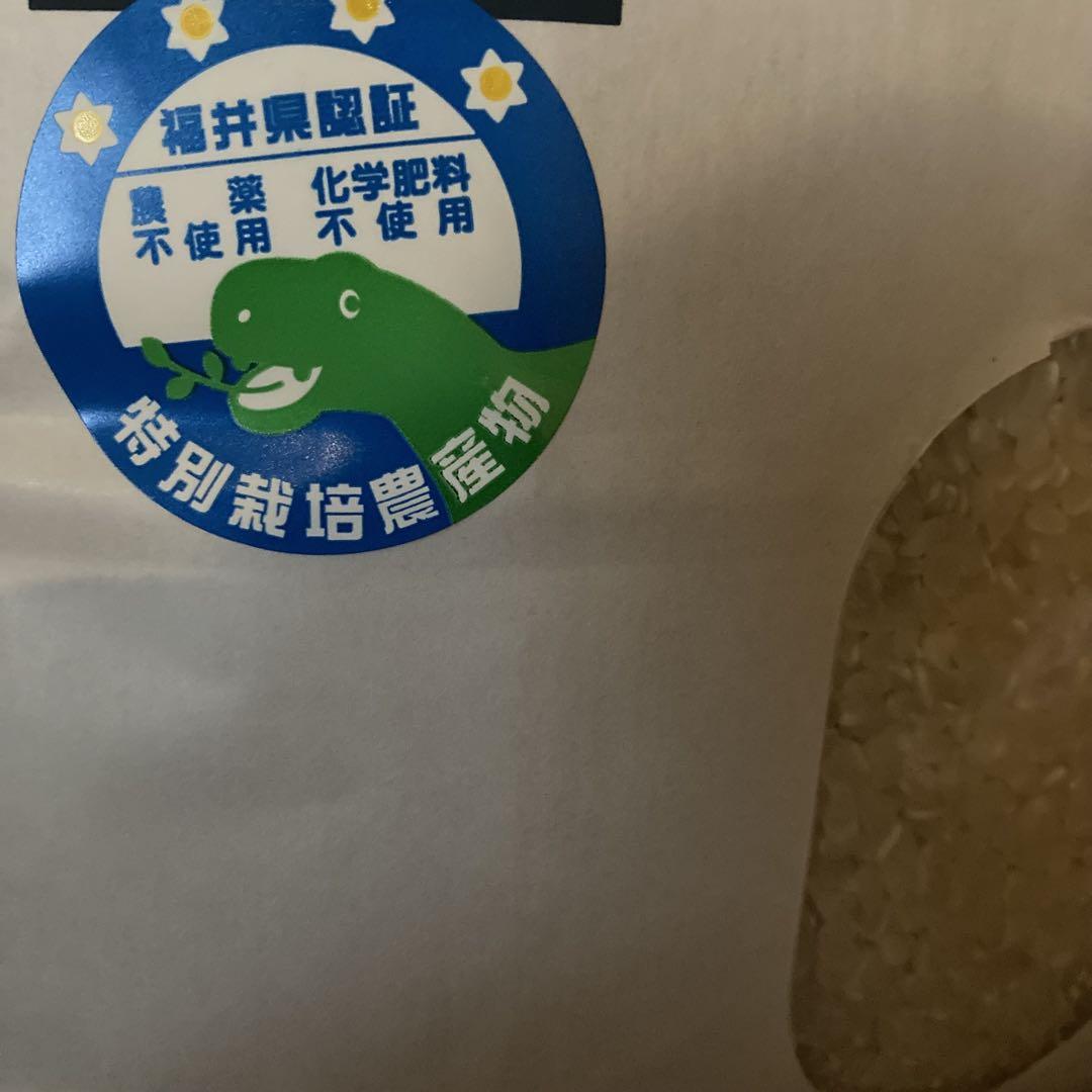令和6年 福井県産 農薬不使用 コシヒカリ 米 20kg