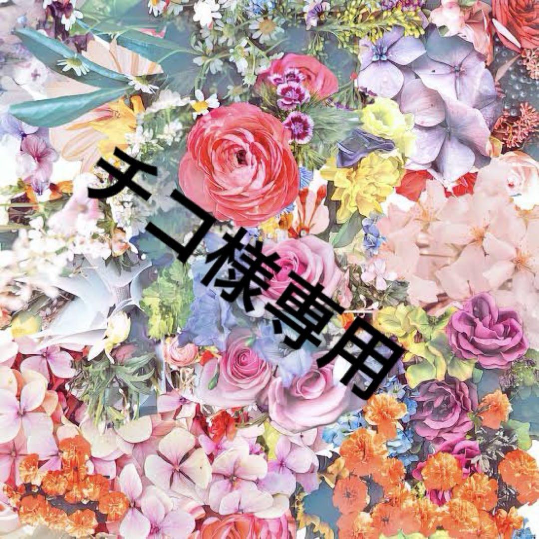 チコ