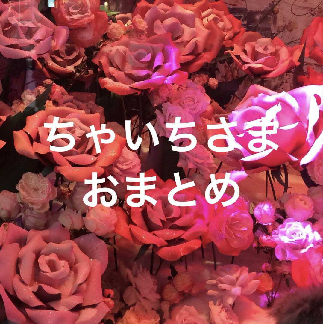 ちゃいちさまおまとめ