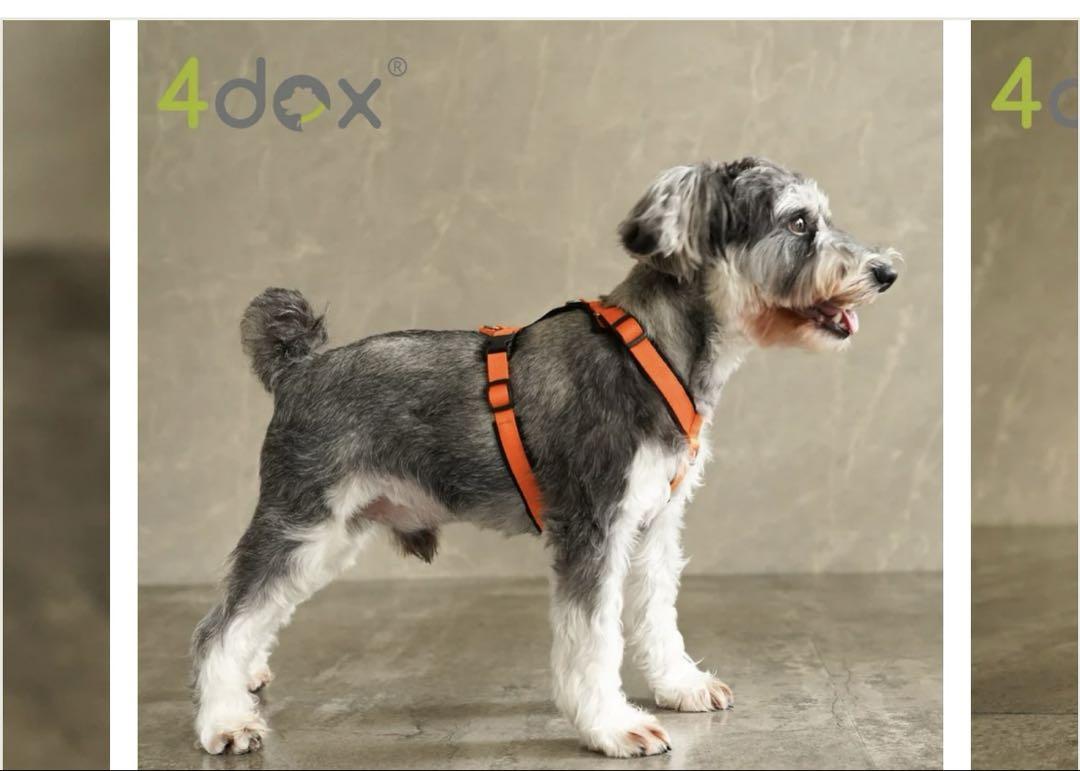 犬用ハーネス4dox赤色ナイロン製Y字型赤レッドsサイズ