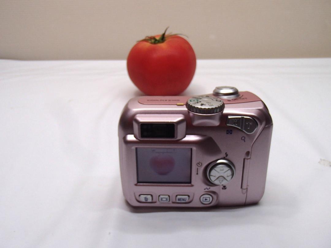 Nikon COOLPIX 2100 ピンク