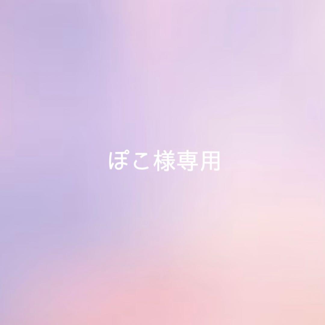 ぽこ様専用