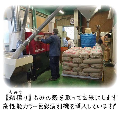 ★★サマータイム★様★専用【特別栽培米 朝日】20kg