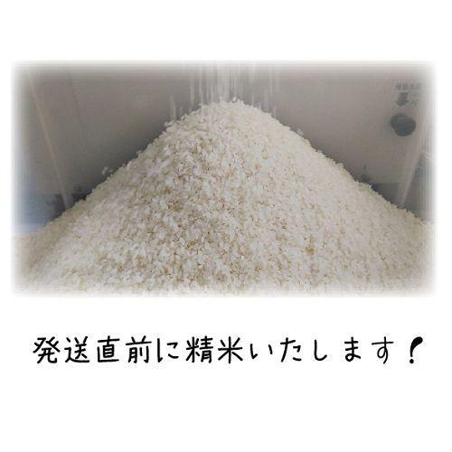 ★★サマータイム★様★専用【特別栽培米 朝日】20kg