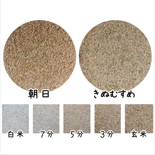 ★★サマータイム★様★専用【特別栽培米 朝日】20kg