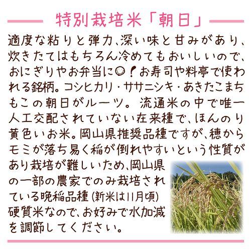 ★★サマータイム★様★専用【特別栽培米 朝日】20kg