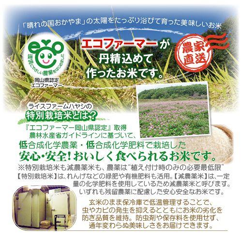 ★★サマータイム★様★専用【特別栽培米 朝日】20kg