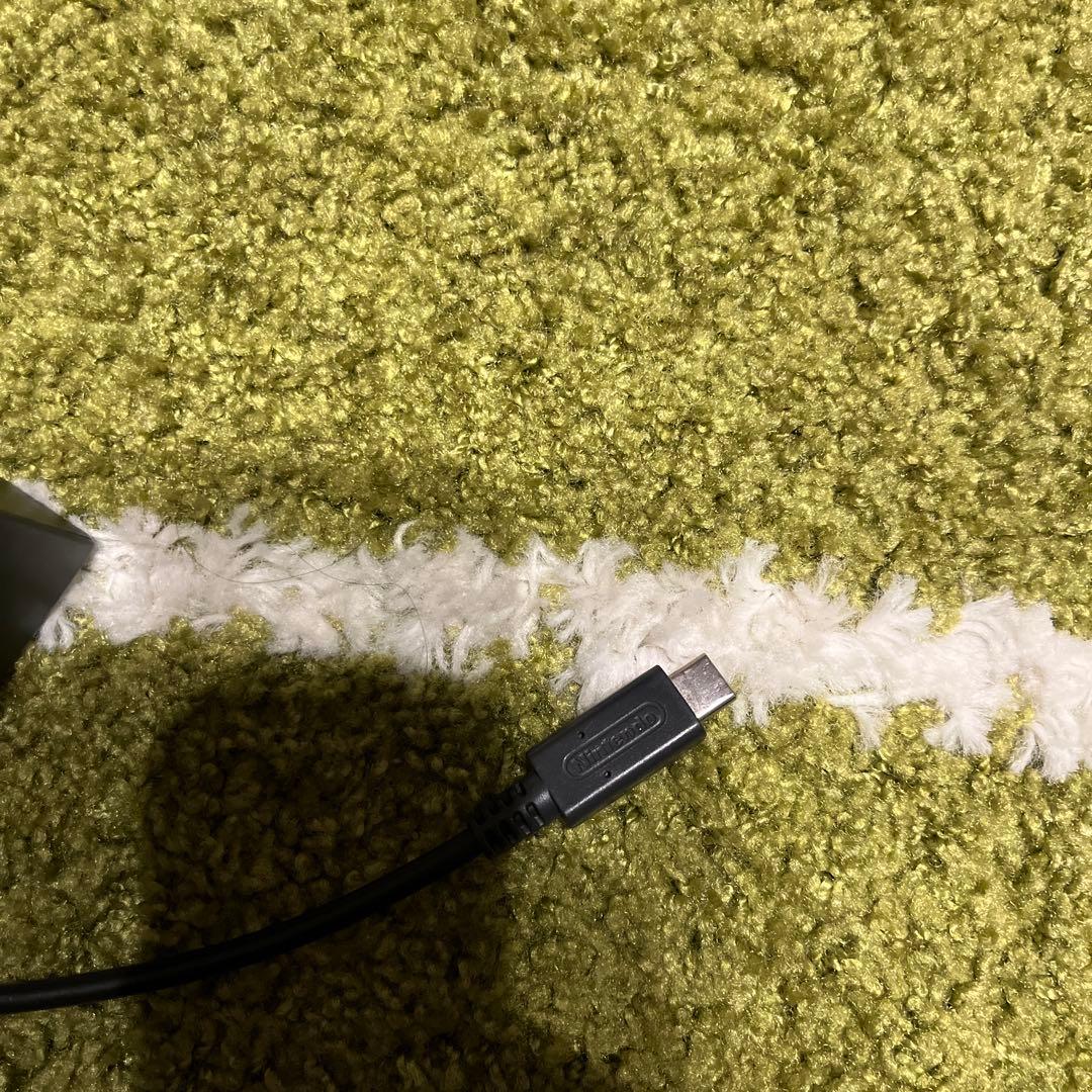 Nintendo Switch Lite グレー Nintendo Switch Lite グレー