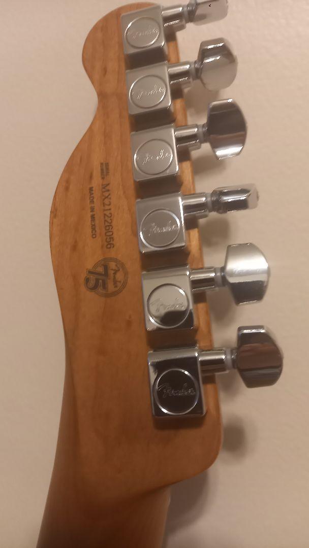 人気品質保証 Fender Mex Limited Edition Player Tele eHlT6-m25552121802 限定セールHOT
