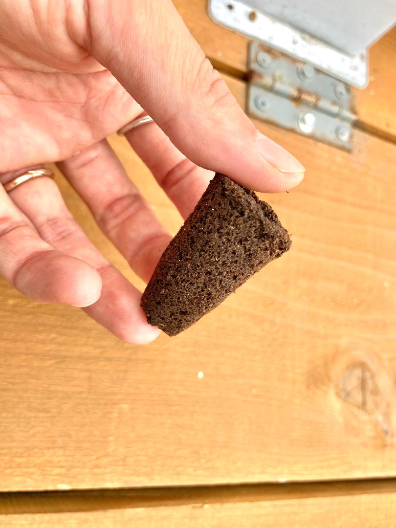 有機 育苗 種まき スポンジ 300個 jF513-m25567448723 オーガニック 土耕 水耕栽培 家庭菜園 最新作特価
