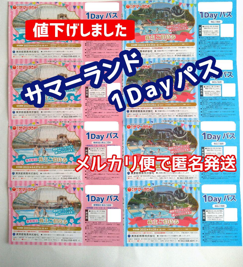 東京サマーランド株主優待券 1Dayパス
