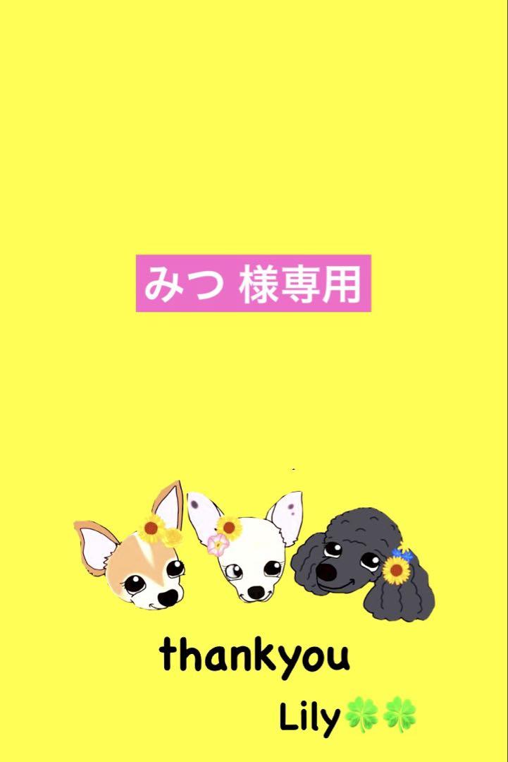 みつ  ꒡̈⃝Lily꒡̈⃝犬服ハンドメイド