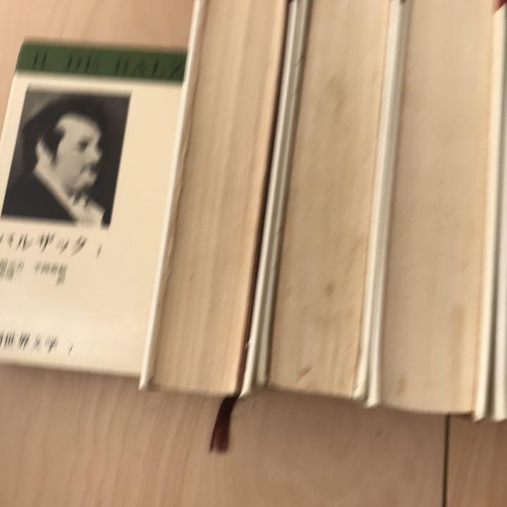 新潮世界文学 28冊　バラ売り可　②