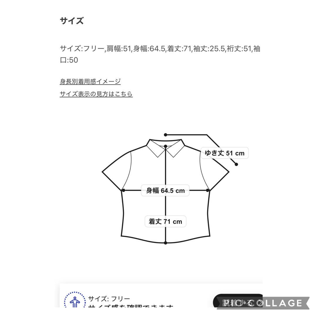 ジャーナルスタンダード レサージュソフトオーガンジーハーフスリーブシャツ