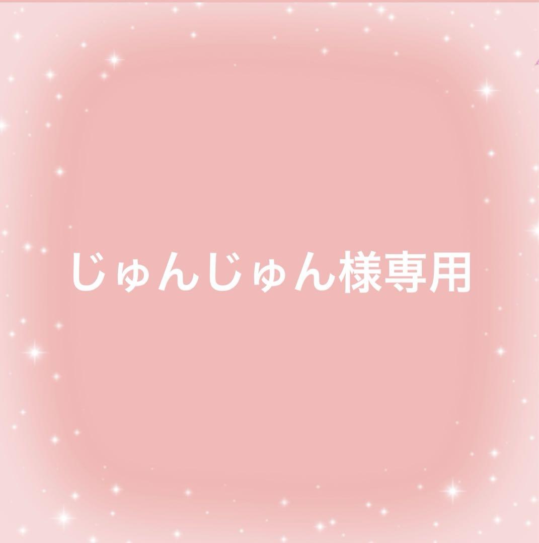 じゅんじゅん様専用 オーダー用パネル　　女の子と3匹のポメラニアン