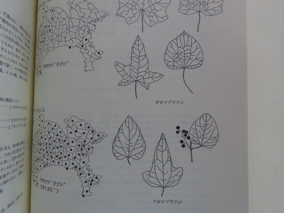 神奈川県植物誌1988 神奈川県植物誌調査会神奈川県立博物館1442pの