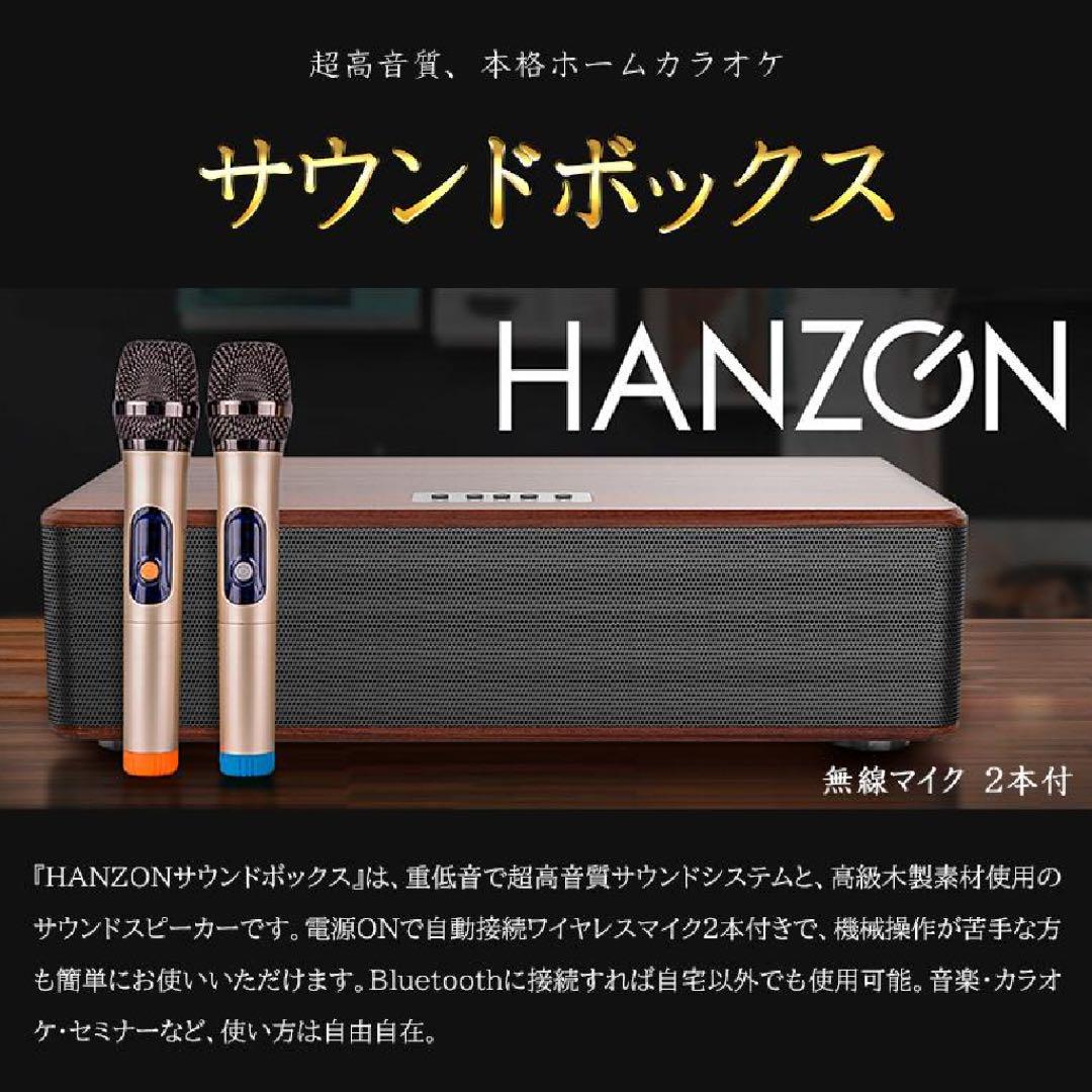 HONBIKE STONE PLUS 電動アシスト自転車　10万分プレゼント付き