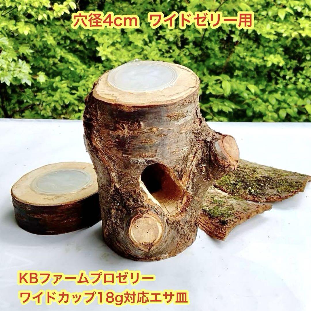 クワリウム 隠れ家 クワガタ カブトムシ 樹洞加工 エサ皿 のぼり