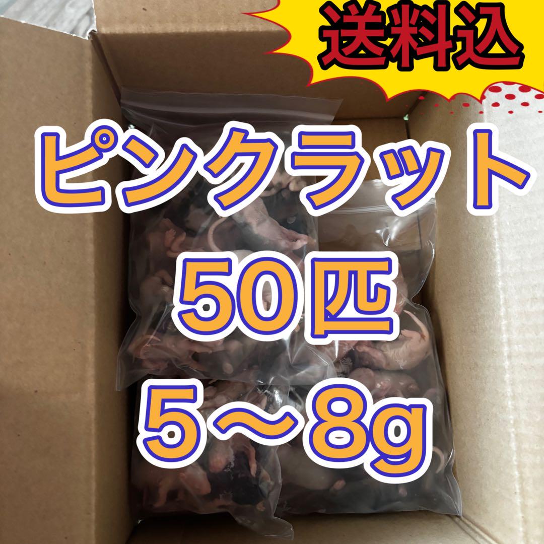 激安送料込　国産冷凍ピンクラットS 50匹　5〜8g 爬虫類の餌に1匹130円 5,590円