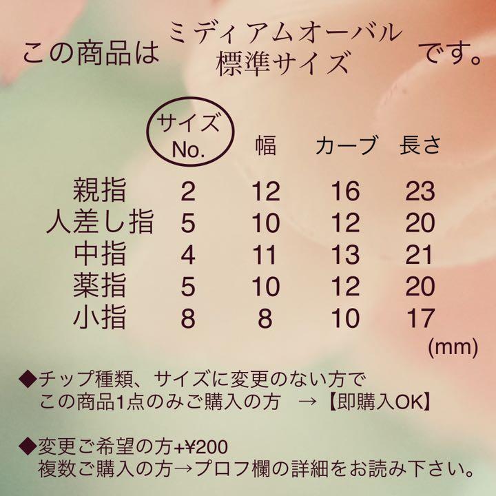 本物保証 No 164 奥行きジェムストーン ラインフレンチ ネイルチップ つけ爪 ネイルチップ 付け爪 Demolition Training