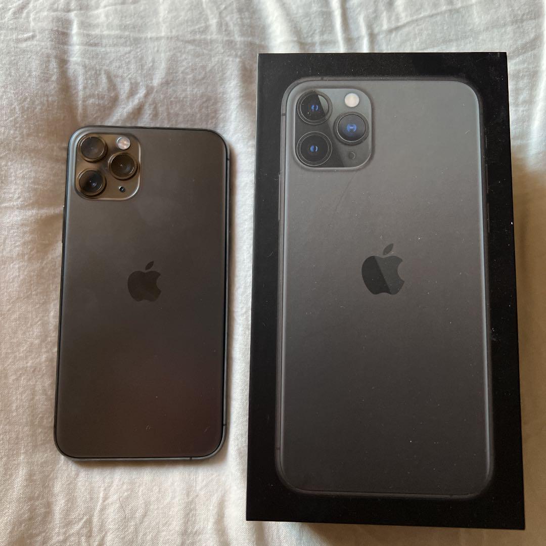 楽ギフ_包装】 スペースグレイ Pro 11 iPhone 256 docomo GB - スマートフォン本体 - www.petromindo.com 楽ギフ_包装】 スペースグレイ Pro 11 iPhone 256 docomo GB - スマートフォン本体 - www.petromindo.com
