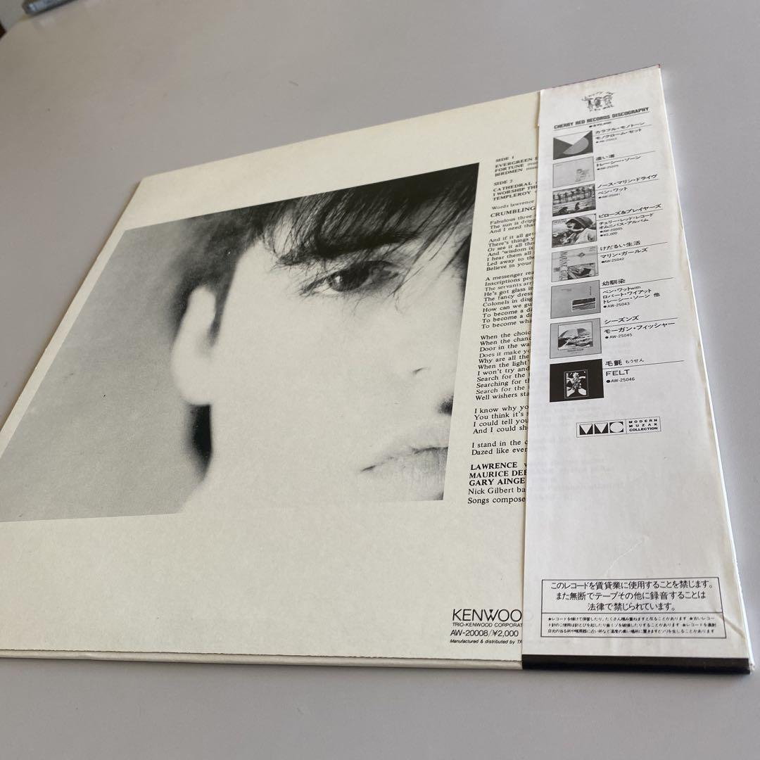 美の崩壊 FELT 限定盤 レコード 日本盤 - メルカリ