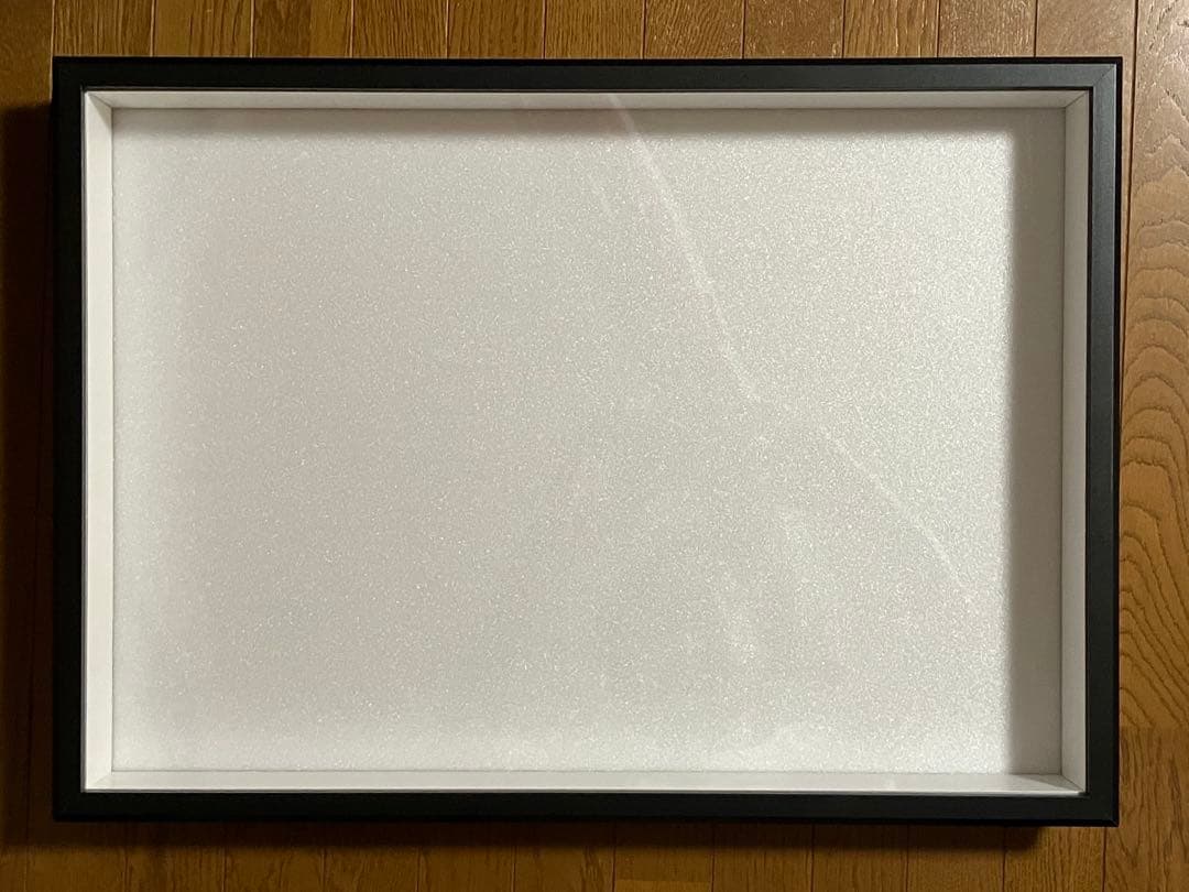 標本箱A2サイズ