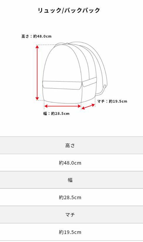 正規品 新品タグつき ノースフェイス NW71855Z バックパック ボルト Iubh0-m25801445852 好評超激安