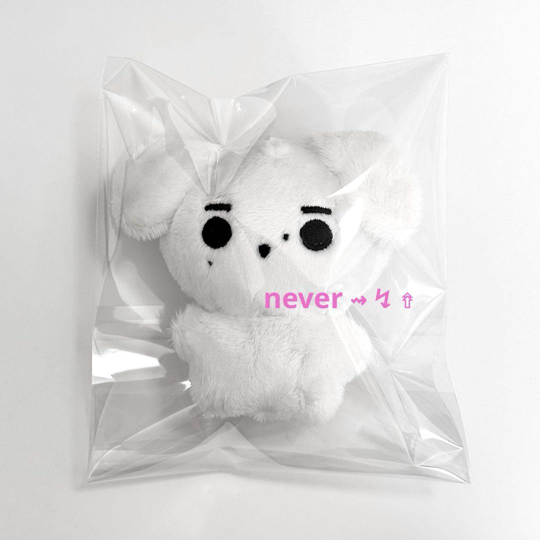 ENHYPEN ソンフン ぬいぐるみ ENHYPEN ソンフン ぬいぐるみ 10cm - メルカリ