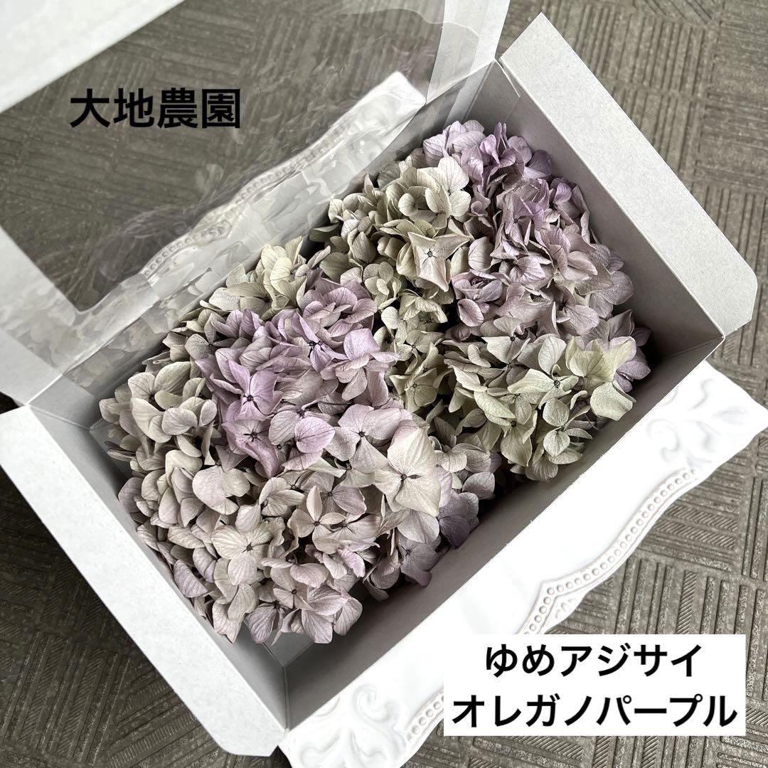 かおりん様　ご専用