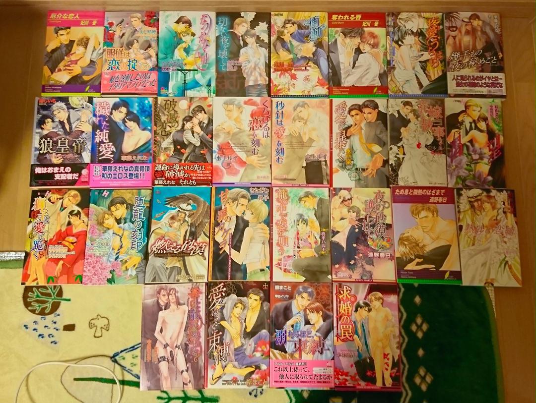 Bl 小説 38冊 まとめ売り 《即決不可》