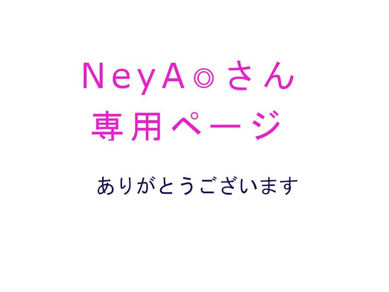 みじゅ様の専用ページ 100*135 3枚