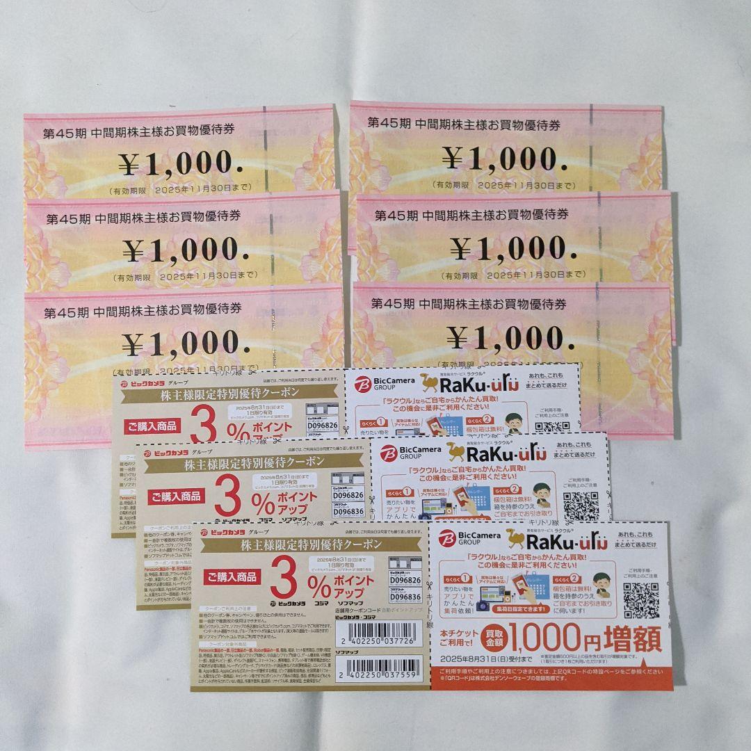 ビックカメラ　株主優待券　6000円分　お買物優待券