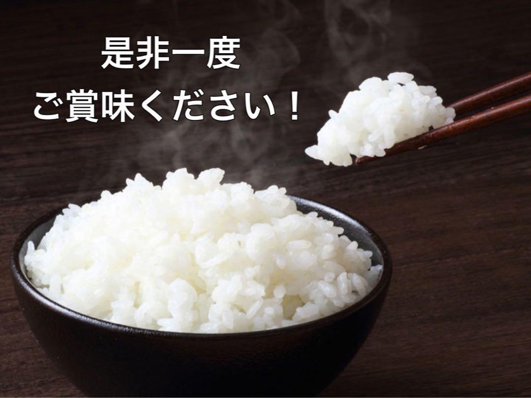 令和5年収穫】近江のお米 30kg（10kg×3本） - 米アウトレット