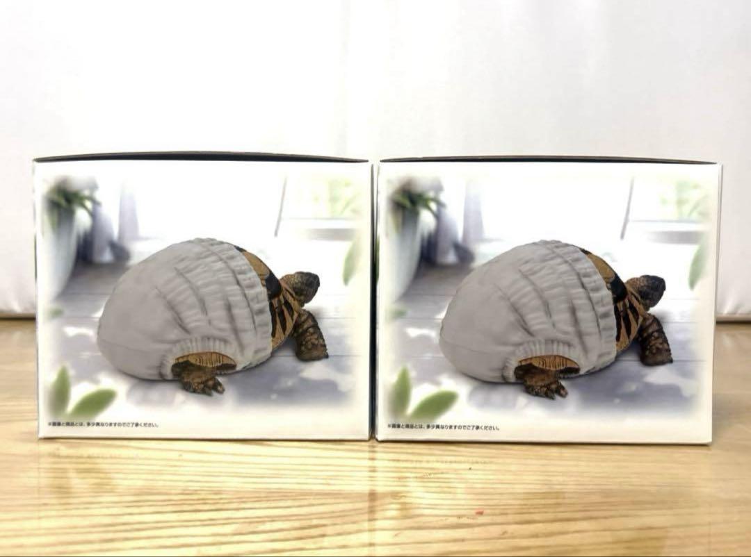 爬虫類＆両生類　一番くじ　ヘルマンリクガメ フィギュア 部屋んぽver. c賞 爬虫類 両生類 1番くじ C賞 ヘルマンリクガメ フィギュア 部屋ん