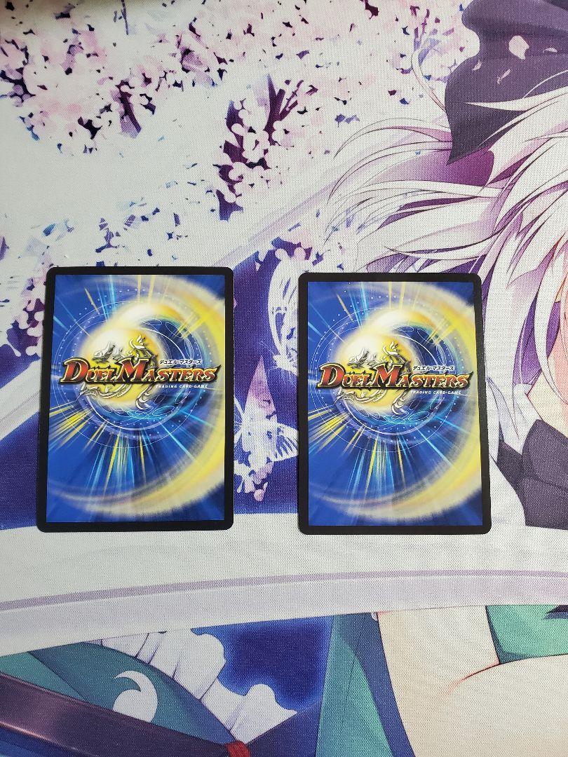 飛翔龍 5000VT  2枚