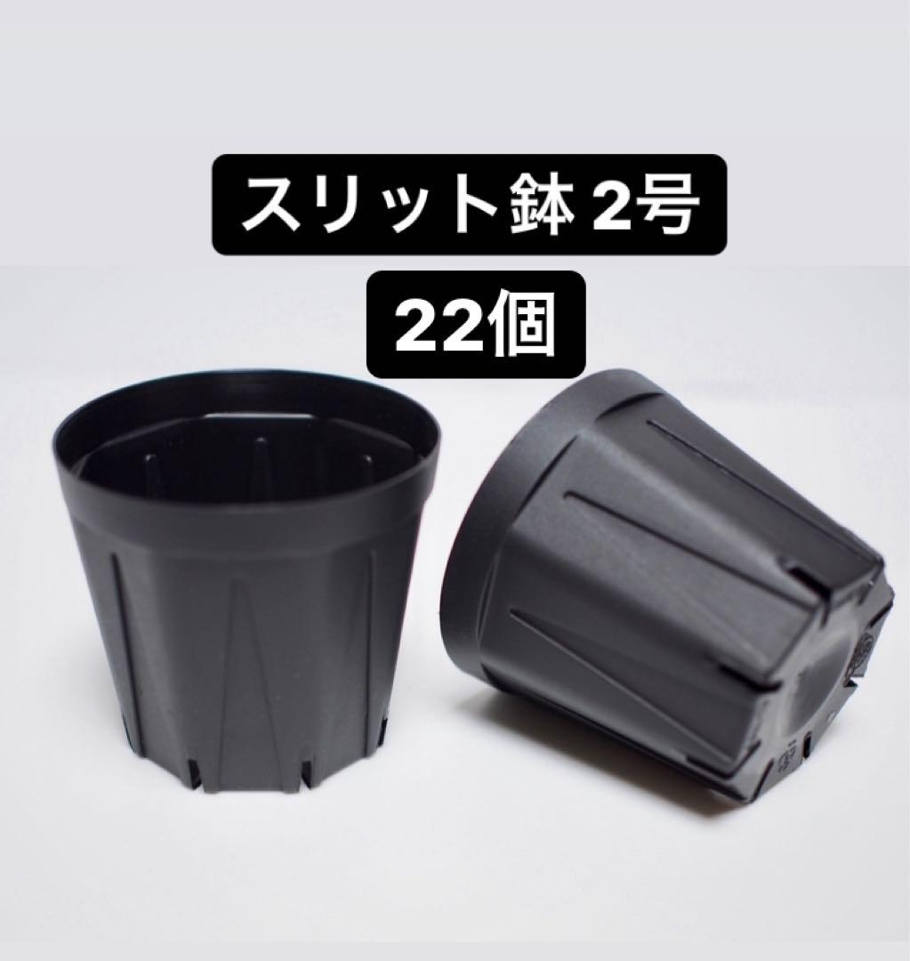 2021春の新作 *海江田四郎様専用*スリット鉢おまとめ 2号22個、2.5号