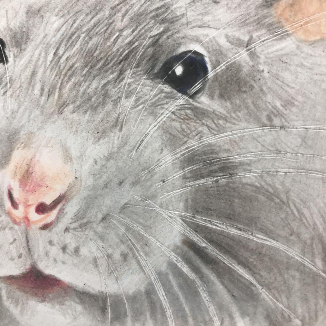 油絵　ネズミ ファンシーラット ドローイング 色鉛筆画 ネズミ ねずみ ミニ