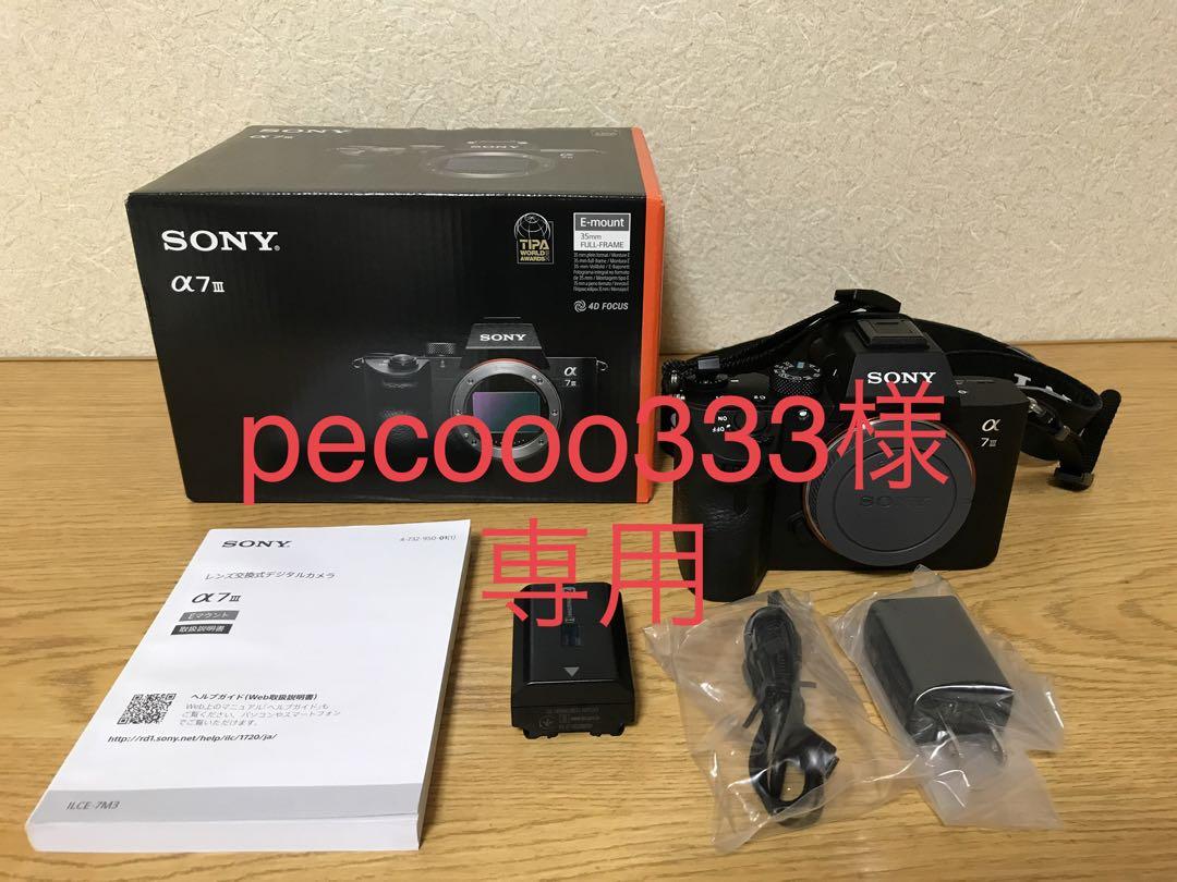 SONY a7iii (ILCE−7M3) 美品 4,053ショット オマケ付新 発売