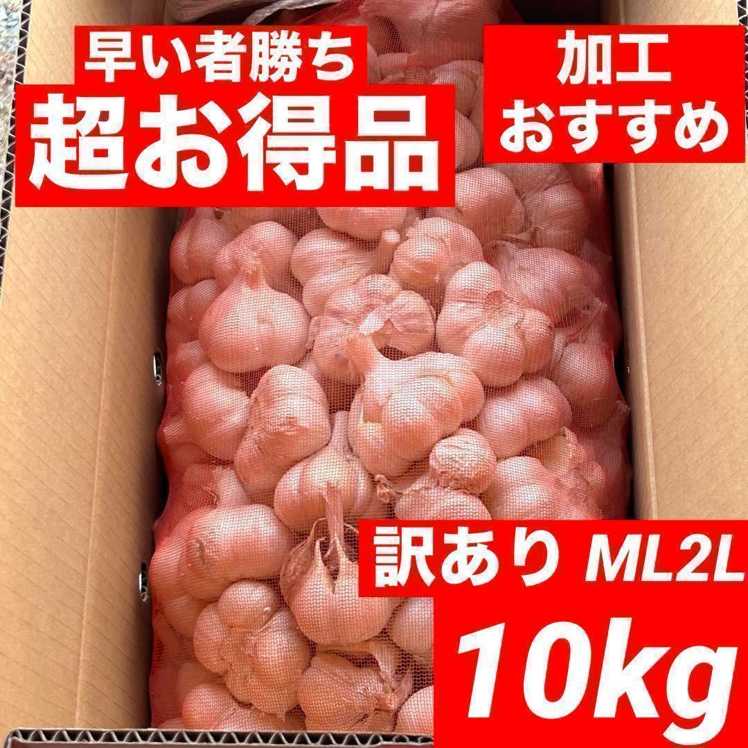 【早い者勝ち】青森県産にんにく ML2L 10kg 福地ホワイト 加工 訳あり