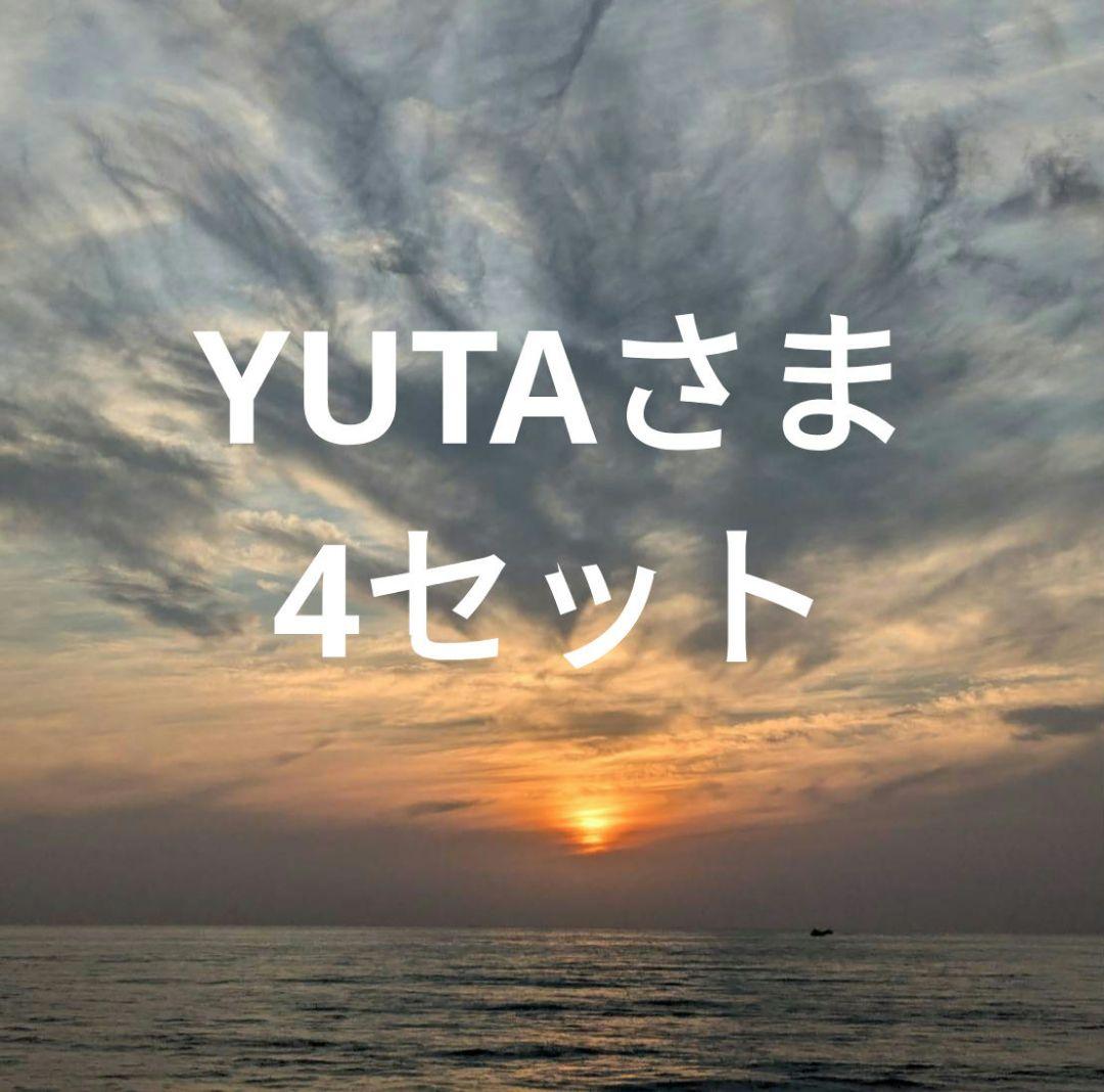 【郵】★YUTA様専用 干し芋 国産 紅はるか 切り落とし800g×4セット
