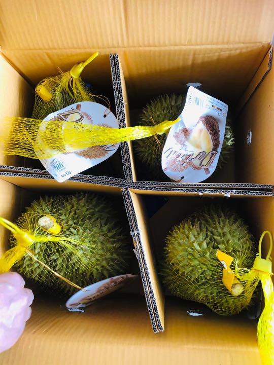 5月18日入荷予定 タイ産 金の枕 ドリアン お得4個