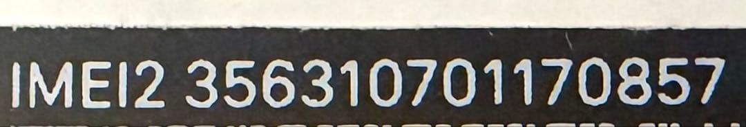 ゴールド 1TBApple