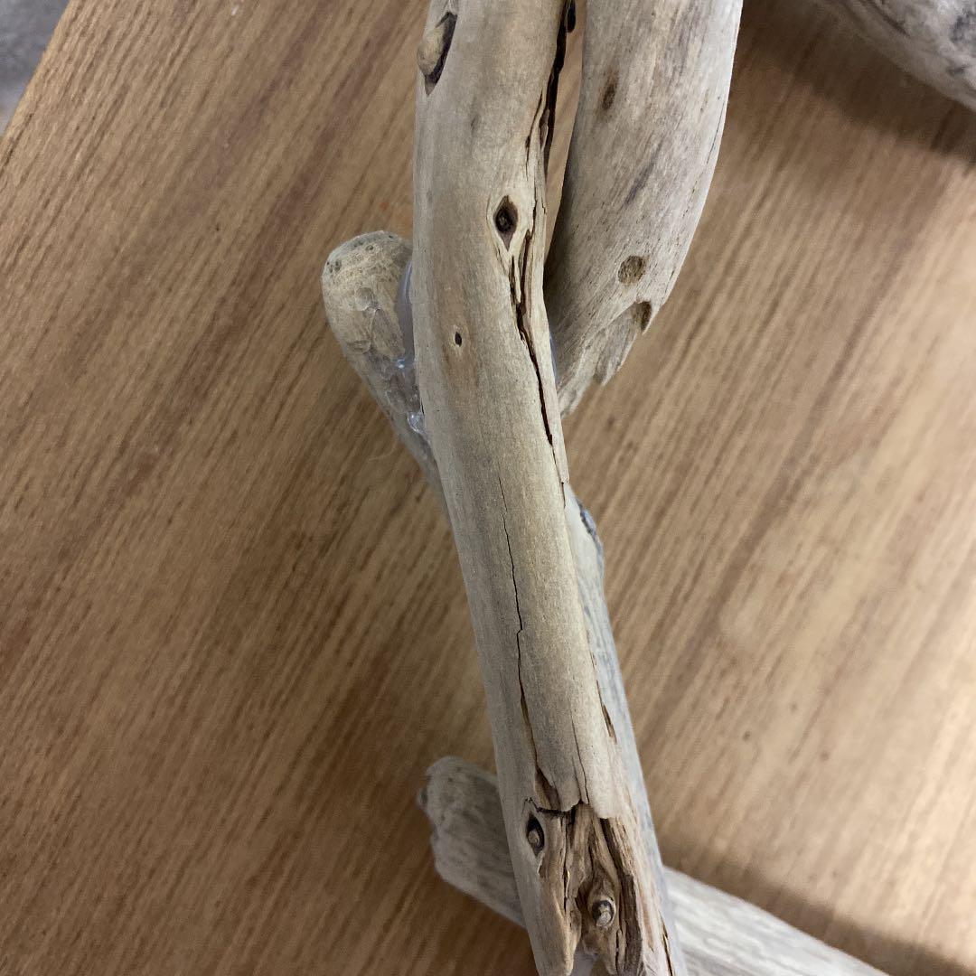 流木 額縁