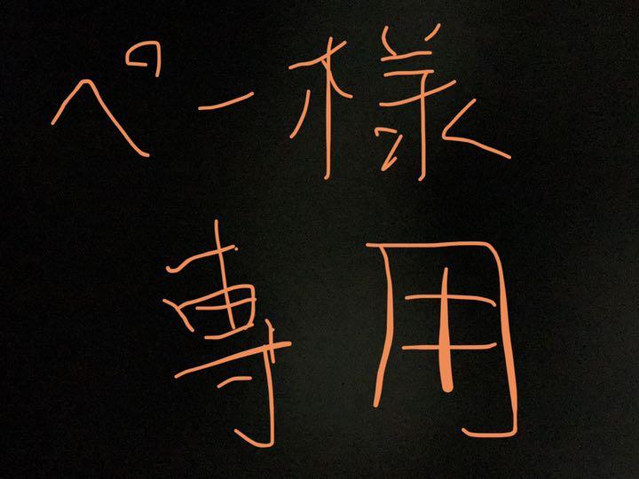 ペー様 専用